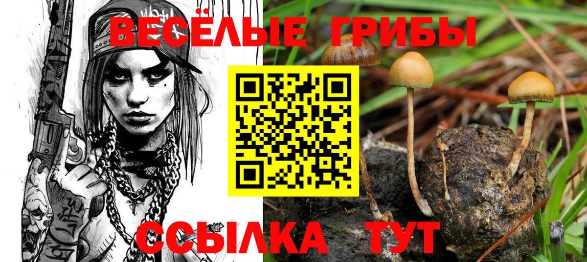 Галлюциногенные грибы MAGIC MUSHROOMS  Вход с VPN  Псилоцибиновые грибы Magic Shrooms  Ртищево 